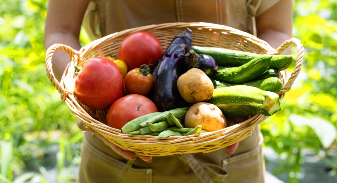 農園体験イメージ